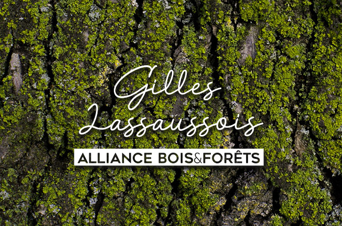 Gilles Lassaussois<br/> Alliance bois et Forêts